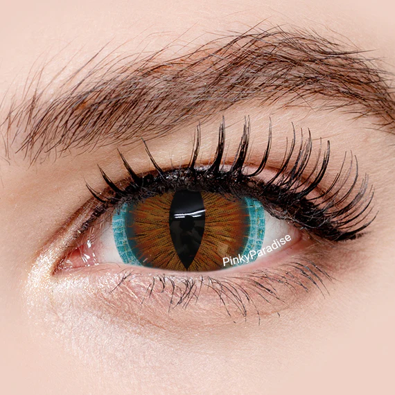 Princess Pinky Brown Lizard Mini Sclera