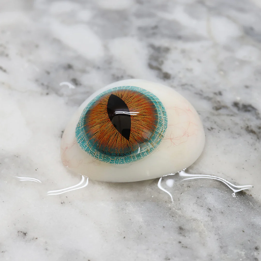 Princess Pinky Brown Lizard Mini Sclera - Image 2