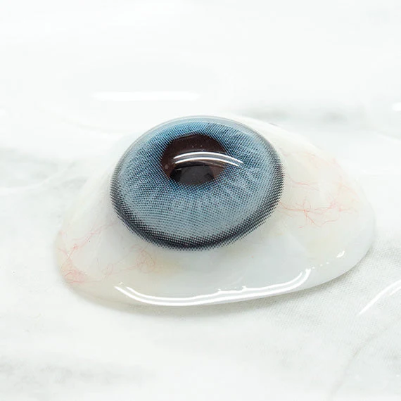 Uris Papillon Blue - Image 3